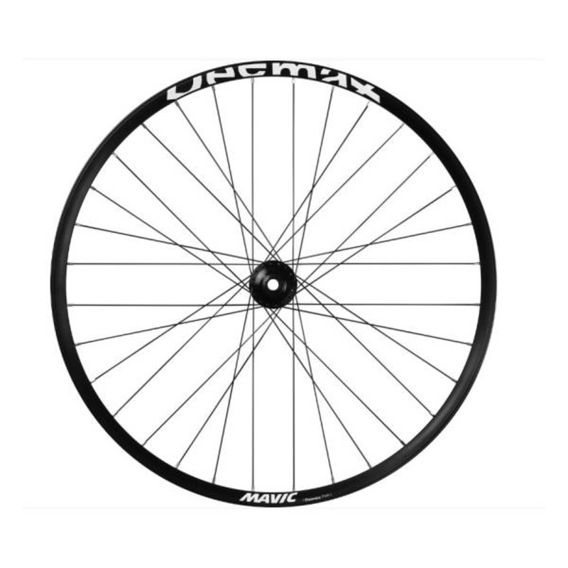 Mavic Deemax Park Front Wheel 29″ 6-Hole Alu – Black