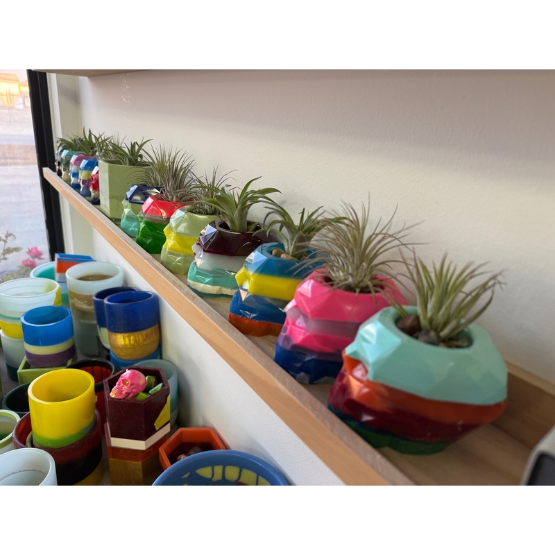 Upcycled Resin Skulls with Air Plant ‘Multi’