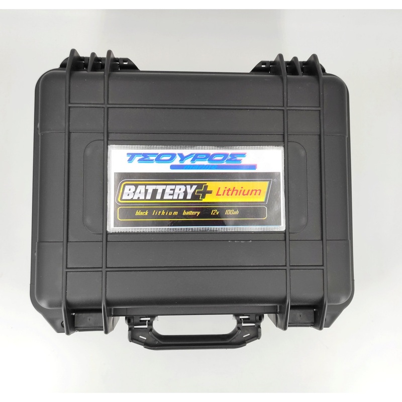 Lithium-Ion Battery Module